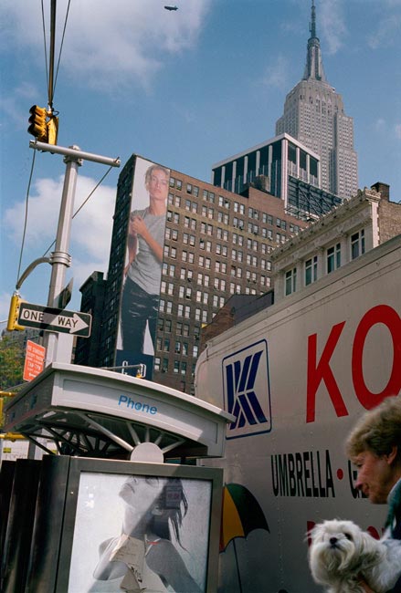 Bichon Frisé, approaching intersection, NYC, 2001